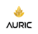The auric